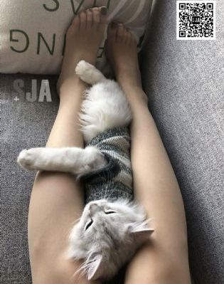 披荆斩棘3_剧情片全集在线观看