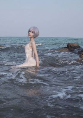 后宫动漫免费全集观看完整版高清_DVD免费电视剧